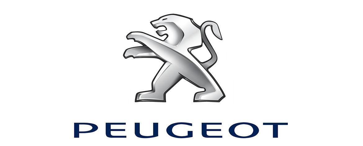 Peugeot проверит стекло задней двери на 107 модели