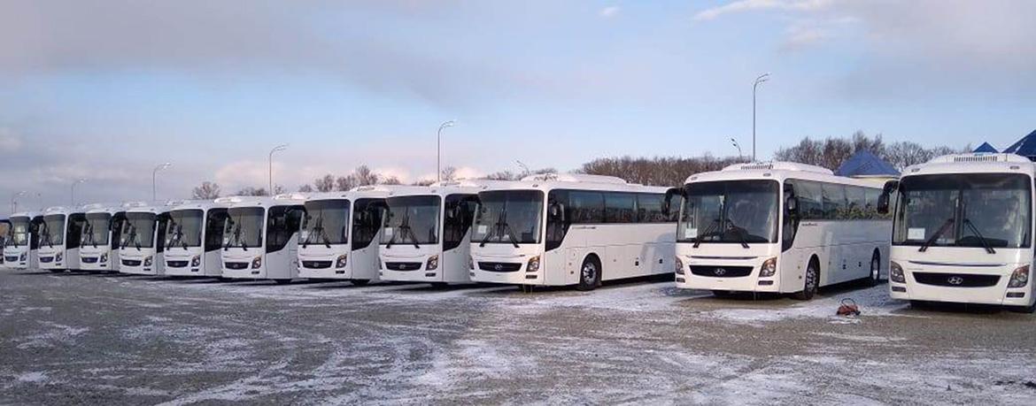 На Универсиаду 2019 Hyundai Truck and Bus Rus поставит 30 туристических автобусов